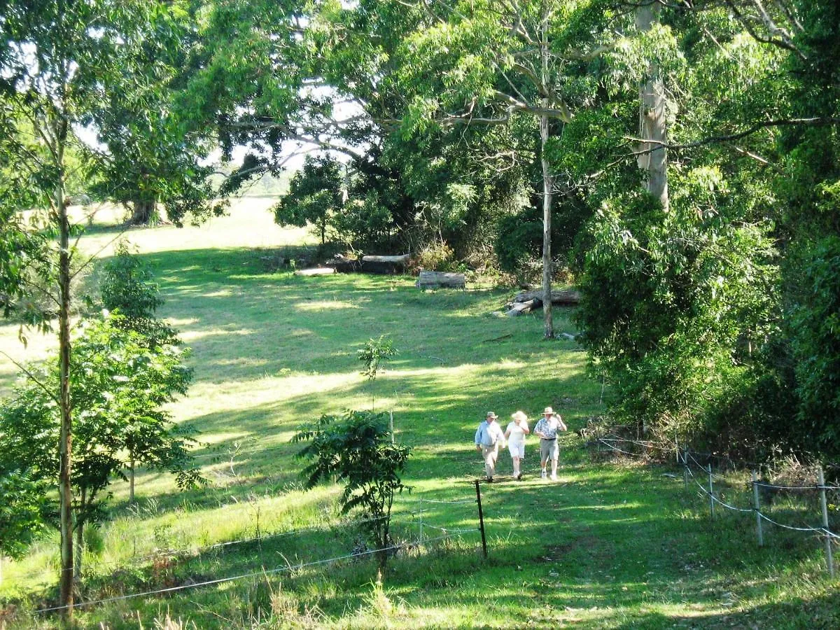 Bellthorpe Stays Maleny 0*,  Australia