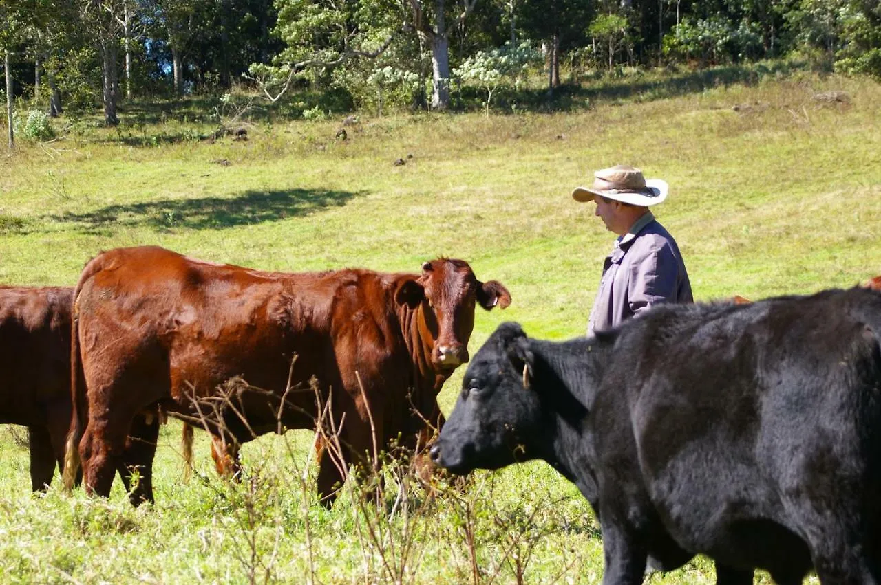 Country house Bellthorpe Stays Maleny